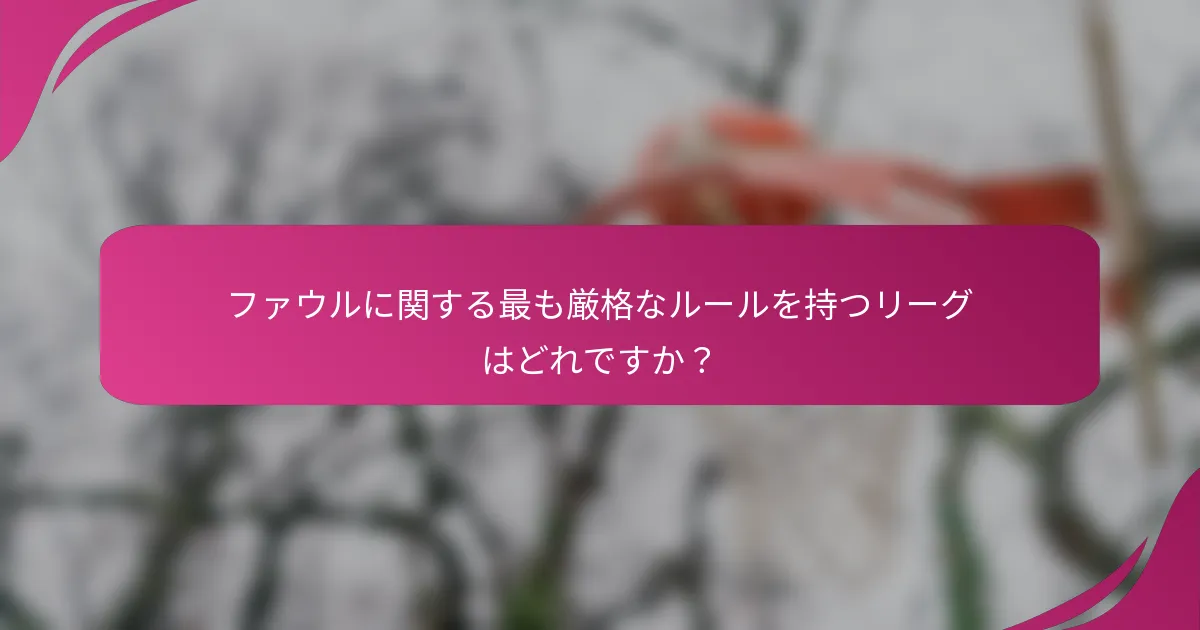 ファウルに関する最も厳格なルールを持つリーグはどれですか？